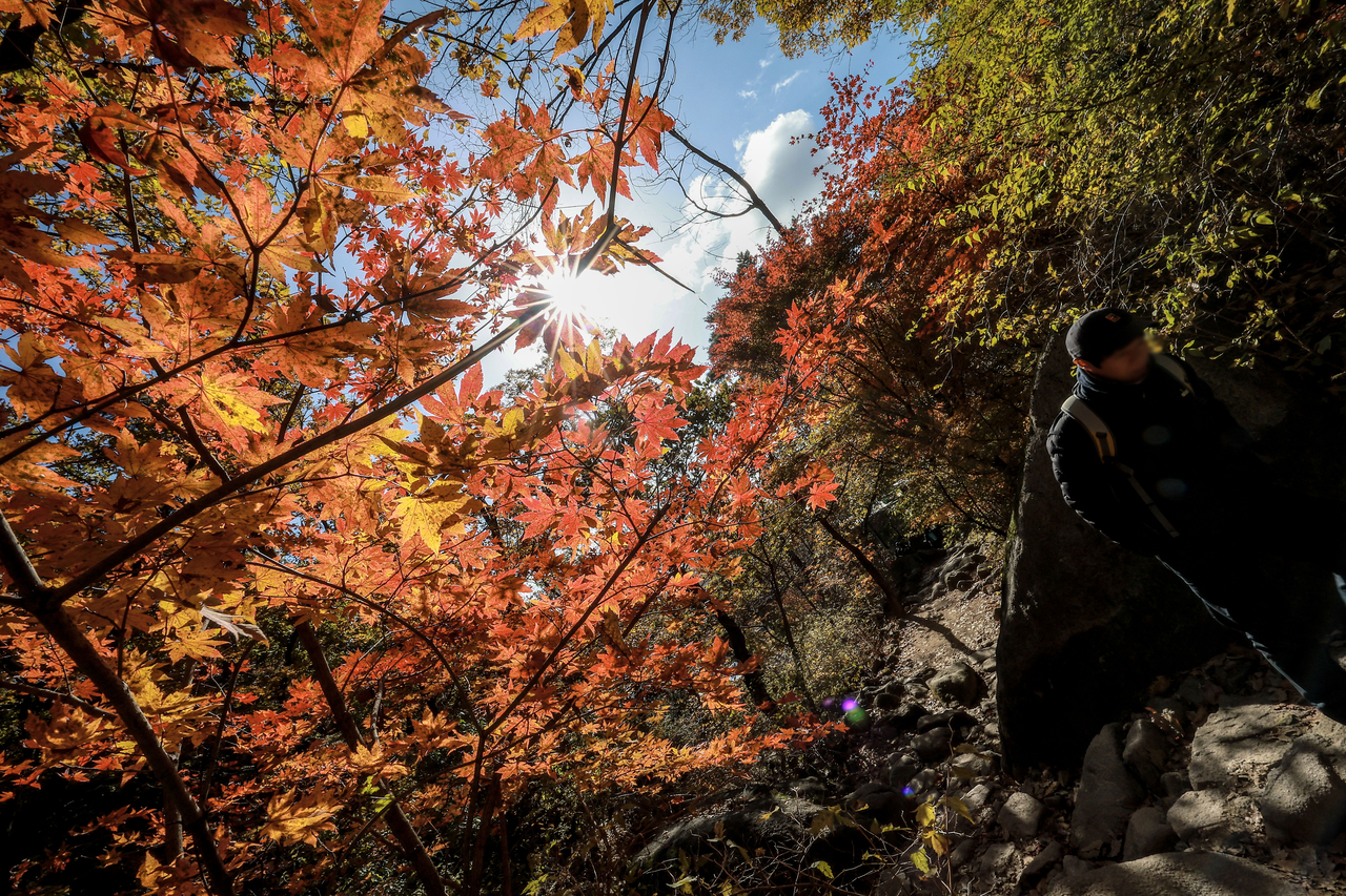 Hikers climb the Baekundae Trail of Bukhansan National Park in Seoul on Nov. 2. (Newsis)